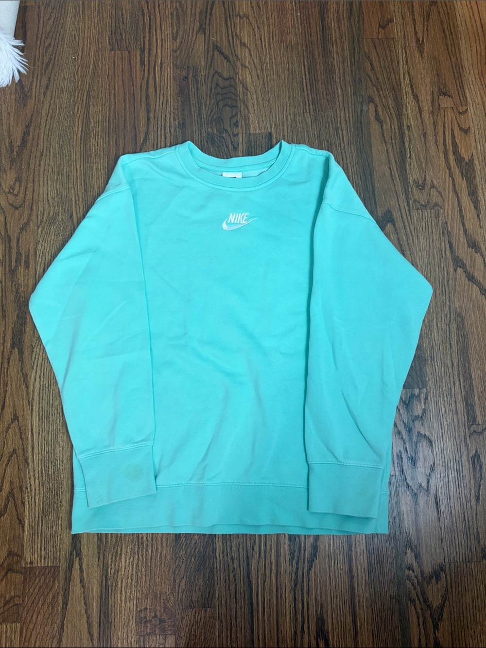 Nike Childrenโs Aqua Crewneck Sweatshirt